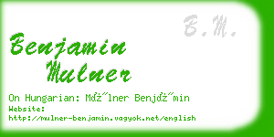 benjamin mulner business card